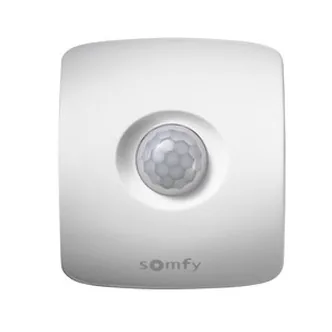 Hareket dedektörü (Motion detector)