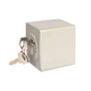 Key Switch (2 Impulses) New Series